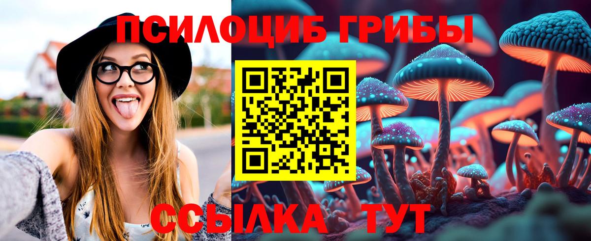 Галлюциногенные грибы Cubensis Майский